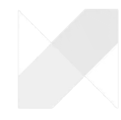 Nextise Logo